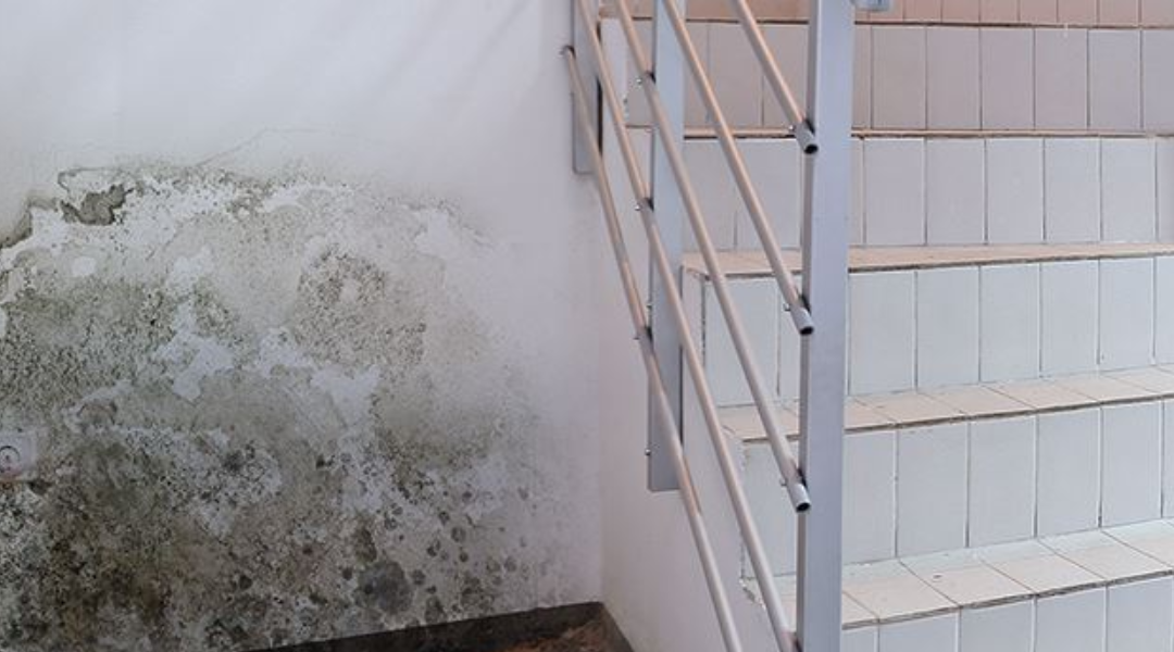 Staircase with white tiled steps and a metal railing, alongside a wall stained with mold and water damage.