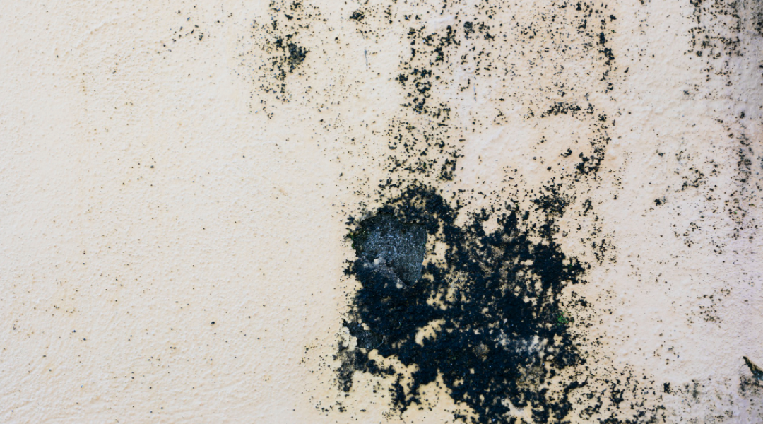 Rough concrete wall with stain